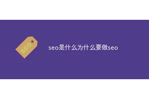 seo是什么为什么要做seo