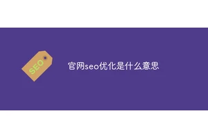 官网seo优化是什么意思