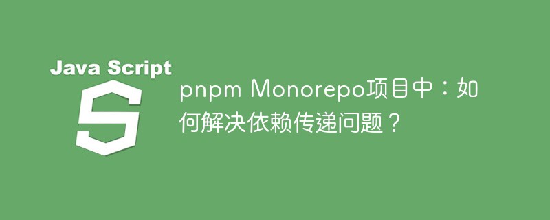 pnpm monorepo项目中:如何解决依赖传递问题?