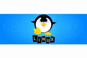 如何查看已安装的Linux内核? 命令行查看所有已安装Linux内核的技巧