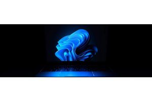 Win11怎么下载安装主题? 获取和安装Win11桌面主题的教程