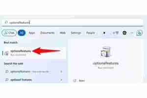 Win11怎么打开.NET Framework 2.0和3.5?