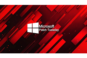 11月Win10/Win11补丁星期二:紧急修复91个漏洞，含4个高危零日漏洞