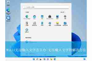 Win11无法输入文字怎么办? Win11输入法禁用的解决办法