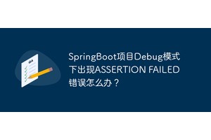 SpringBoot项目Debug模式下出现ASSERTION FAILED错误怎么办？