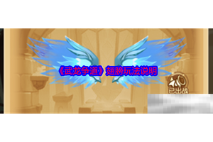 《武龙争道》翅膀玩法说明
