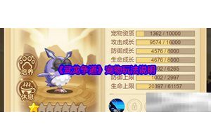 《武龙争道》宠物玩法说明