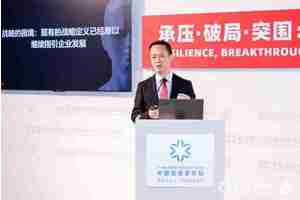 张云在 2025 亚布力论坛呼吁：科技创新商业转化，企业家精神不可或缺