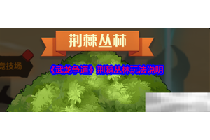 《武龙争道》荆棘丛林玩法说明