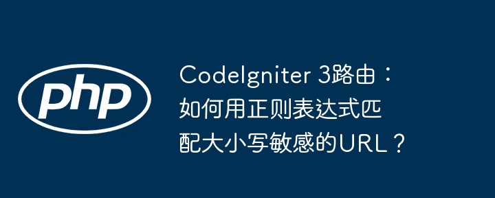 codeigniter 3路由:如何用正则表达式匹配大小写敏感的url?
