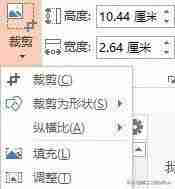 PPT照片尺寸大小指南:以最佳比例展示精美图片