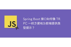 Spring Boot 接口如何像 TRPC 一样方便地为前端提供类型提示？