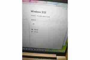 Win11系统下如何安装Word2003？安装步骤详解？
