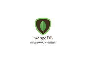 MongoDB索引优化策略，加速查询性能