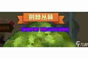 武龙争道荆棘丛林玩法攻略