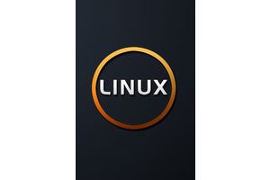 Linux服务管理与启动顺序调整