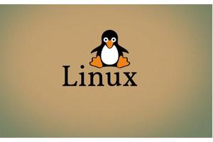 Linux系统备份与恢复方案：定时备份与应急恢复