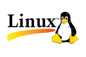 Linux运维自动化脚本编写与应用