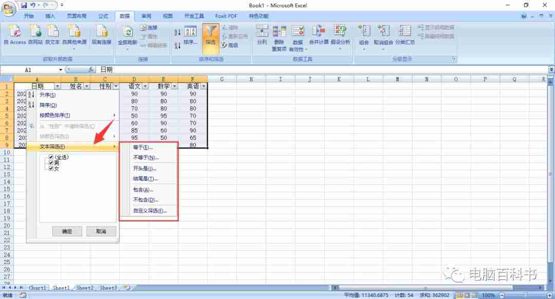 Excel如何筛选？Excel筛选数据技巧和操作指南，高效数据筛选方法