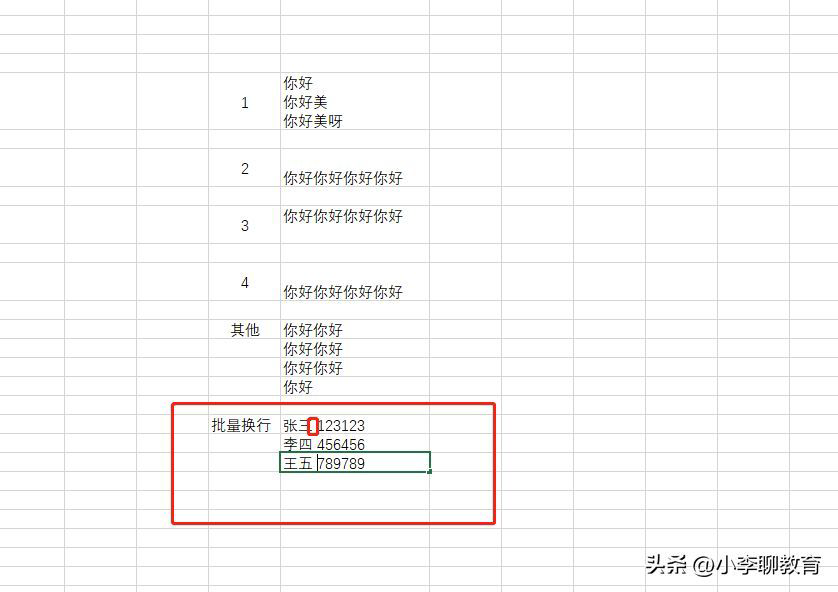 Excel表格怎么换行，实现文字自动换行显示