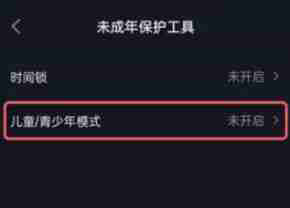 抖音极速版儿童版怎么设置