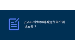 pytest中如何精准运行单个测试文件？