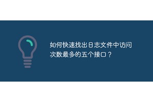 如何快速找出日志文件中访问次数最多的五个接口？