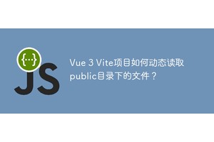 Vue 3 Vite项目如何动态读取public目录下的文件？