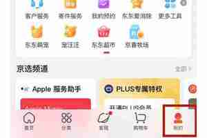 京东plus会员有哪些特权