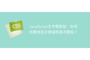 JavaScript文本框校验：如何优雅地显示错误信息及图标？