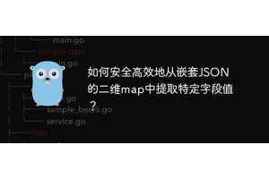如何安全高效地从嵌套JSON的二维map中提取特定字段值？
