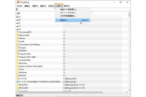 Everything搜索时怎么排除系统文件