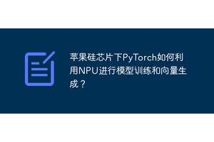 苹果硅芯片下PyTorch如何利用NPU进行模型训练和向量生成？