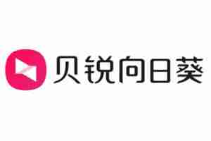 向日葵远程怎么改语言？