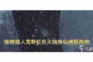 怪物猎人荒野虹色大独角仙在哪里及如何捕获