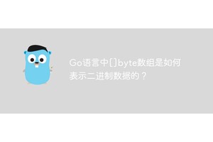 Go语言中[]byte数组是如何表示二进制数据的？