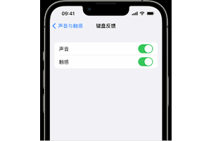 苹果手机按键震动怎么开启