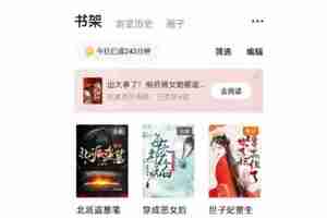 番茄小说已下架是什么意思