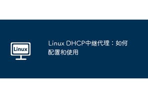 Linux DHCP中继代理：如何配置和使用