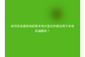 如何安全高效地获取本地大型文件路径用于本地后端服务？