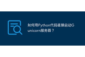 如何用Python代码直接启动Gunicorn服务器？