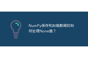 NumPy保存和加载数据时如何处理None值？
