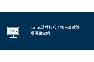 Linux清理技巧：如何高效管理磁盘空间
