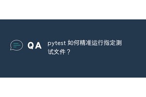 pytest 如何精准运行指定测试文件？