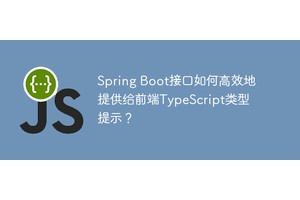 Spring Boot接口如何高效地提供给前端TypeScript类型提示？