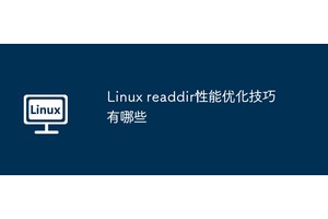 Linux readdir性能优化技巧有哪些