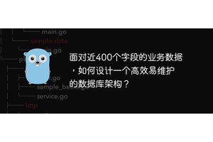 面对近400个字段的业务数据，如何设计一个高效易维护的数据库架构？