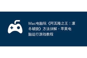 Mac电脑玩《阿瓦隆之王：凛冬破晓》方法详解，苹果电脑运行游戏教程