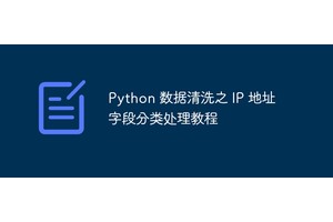 Python 数据清洗之 IP 地址字段分类处理教程