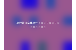 高效管理实体文件：2lenet/entity